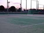 山本テニスコート